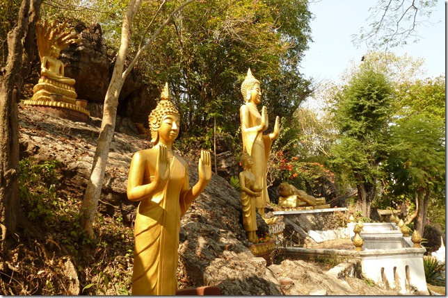 buddhagarden