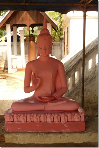 pinkbuddha