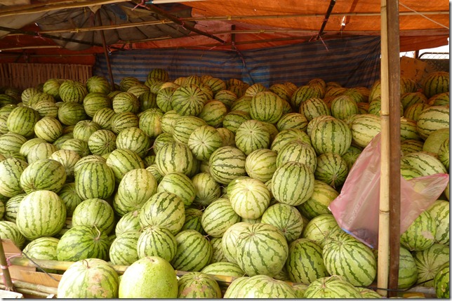 watermelons